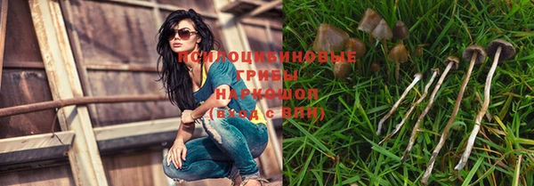 синтетический гашиш Богородск