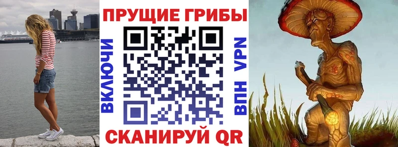 даркнет сайт  Приволжский  Галлюциногенные грибы мицелий 